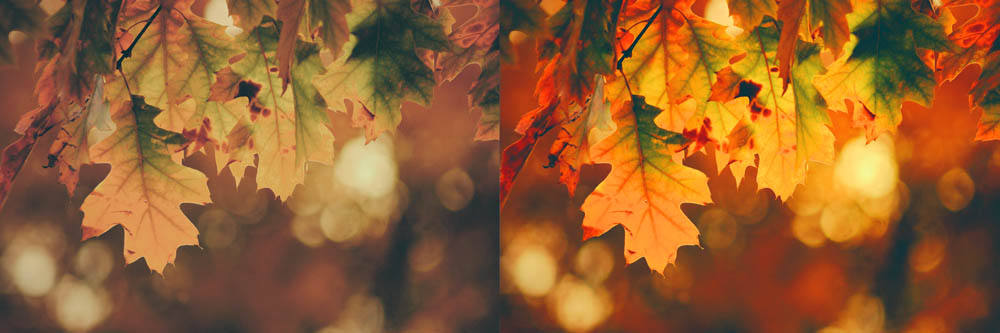 Herfst (witbalans) Herfst (witbalans)