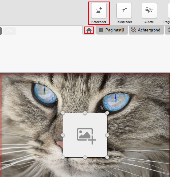 Fotokader toevoegen