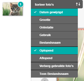 Foto's sorteren online
