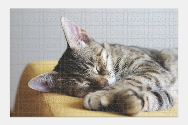Fotopuzzel Liggend 1000 stuks