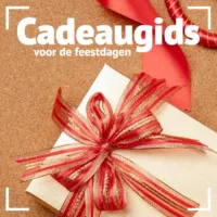 Cadeaugids voor de feestdagen