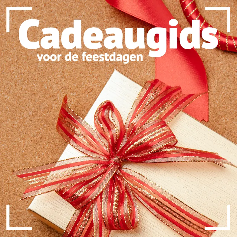 Cadeaugids voor de feestdagen