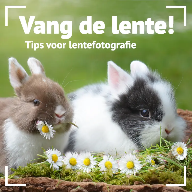 Lente fotografie