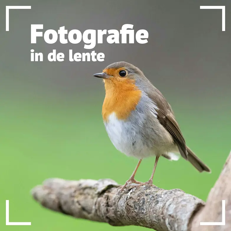 Lente fotografietips